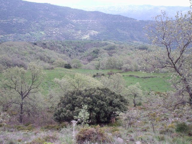 P5280084 Wandeling Trevelez  naar Portgos